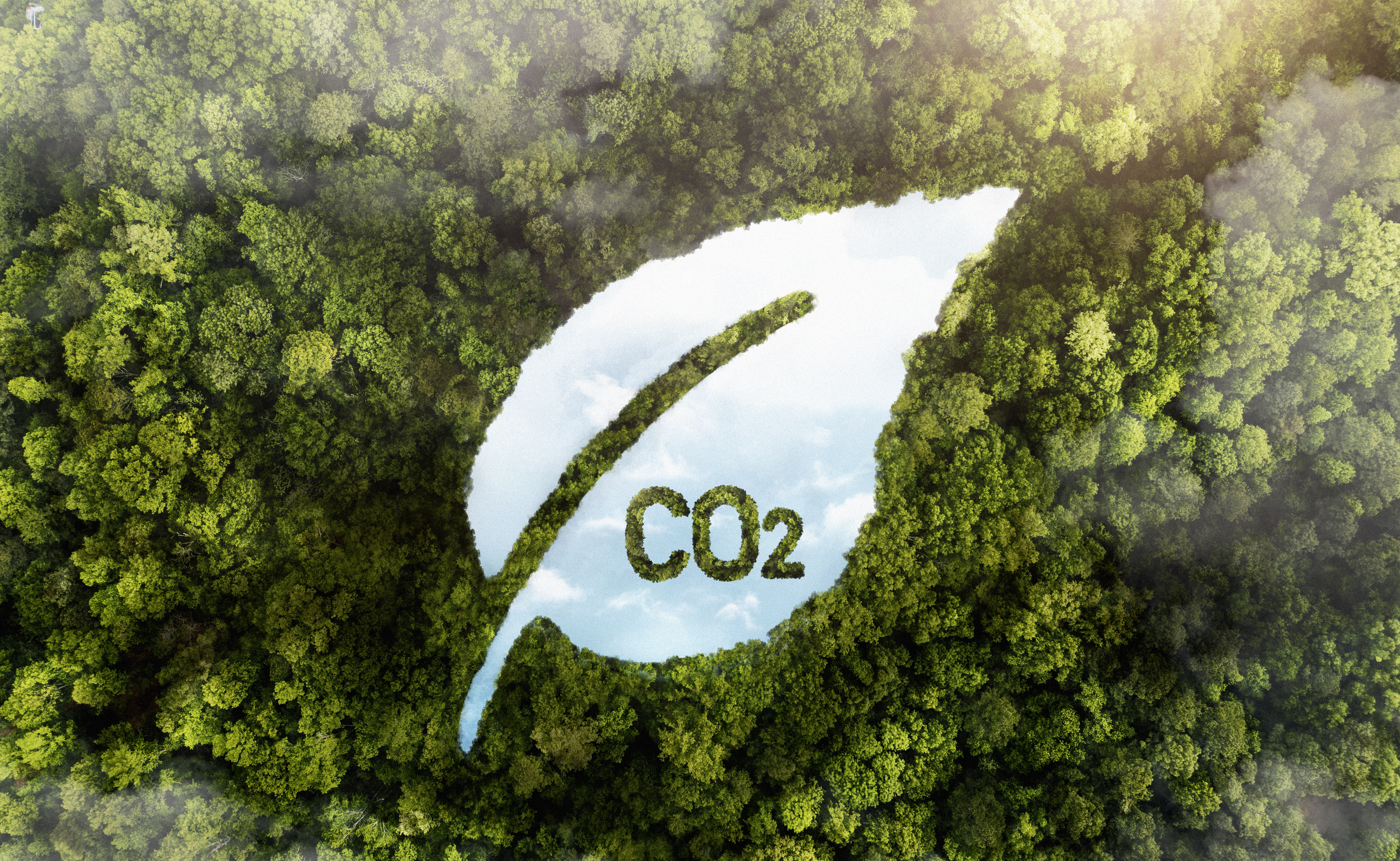 Carbon Credit Project